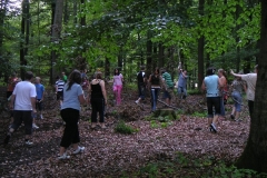 brennholzsuche-im-wald